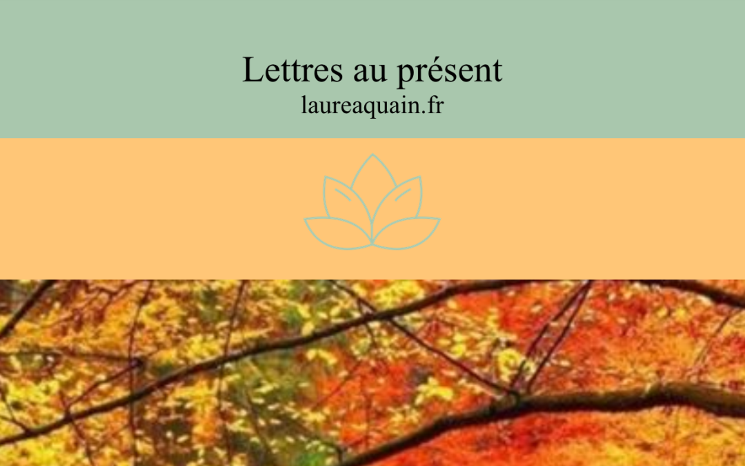 Lettres au présent, l’harmonie des cycles : l’automne